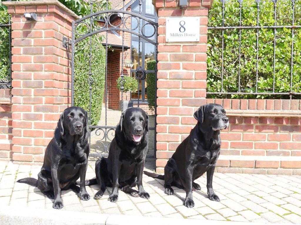 Millers House Boutique B&B Emsworth Exterior photo