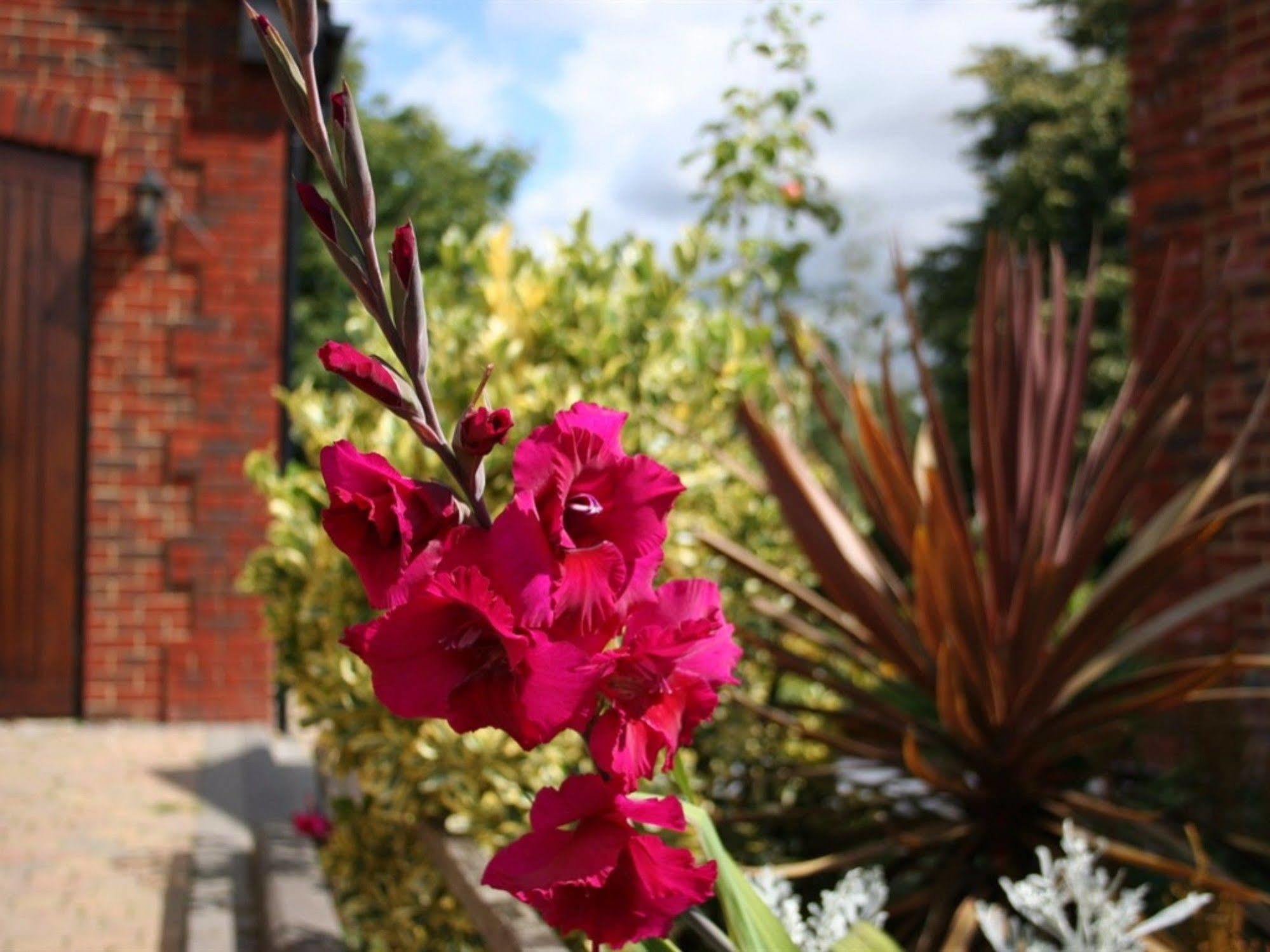 Millers House Boutique B&B Emsworth Exterior photo